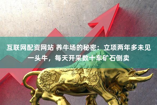 互联网配资网站 养牛场的秘密：立项两年多未见一头牛，每天开采数十车矿石倒卖